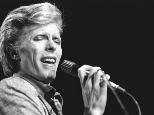 dustonmars: David Bowie performing during the Philly Dogs Tour. October, 1974. ©  source