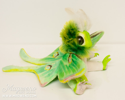 invertebrates:magweno:New Luna mof just finished for a customer! You can order your own luna here! £