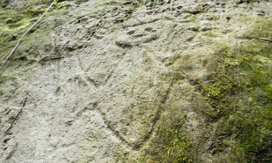 Hikers on Caribbean island of Montserrat find ancient stone carvings