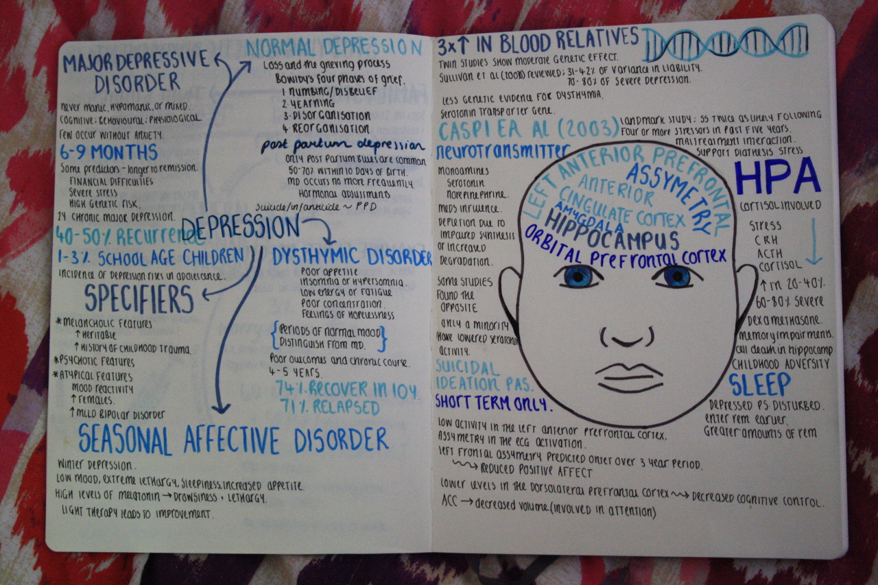study-well:  I decided to make more graphic notes and mind maps. I think this is