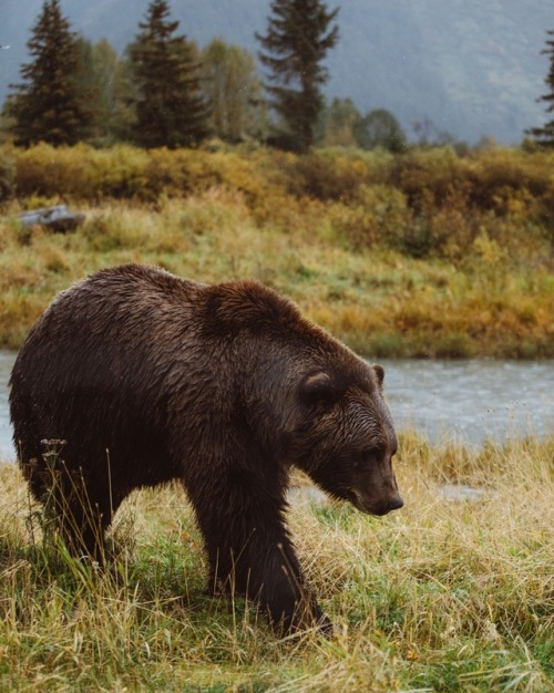 bryandaugherty:  Life in Alaska.