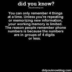did-you-kno:  You can only remember 4 things