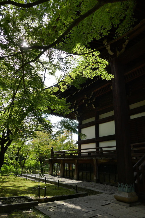 The always beautiful Shinshogokuraju-ji temple, Kyoto, Japan. Val Moliere, Oct 2018  Kyoto, Japan. V