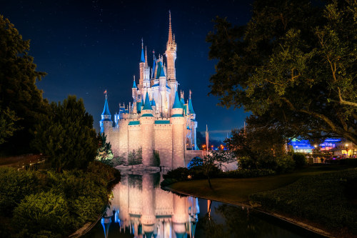 Cinderella Castle &amp; the Warm Tones by TheTimeTheSpace This shot is an older one I took back 