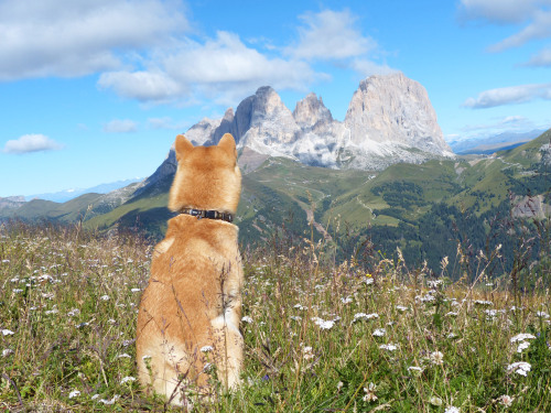 Taka in The Dolomites in October 2013