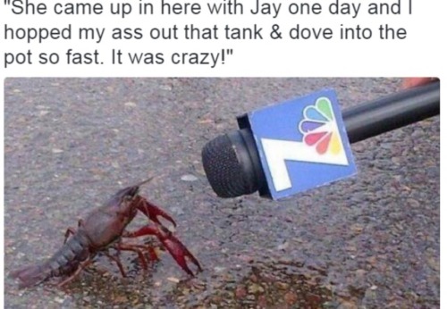 beyonslayed:fuckrashida:I love Beyoncé memesI hate everyone