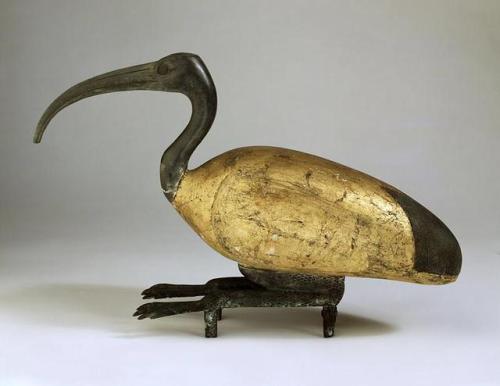 theancientwayoflife:~ Ibis figure. Place of origin: Undetermined site, Egypt, probably Tuna el Gebel