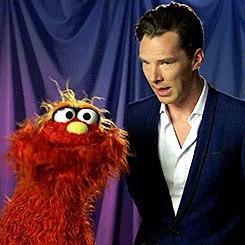 muchadoaboutbenedict:  sallydonovan:  Benedict Cumberbatch on Sesame Street  Dying