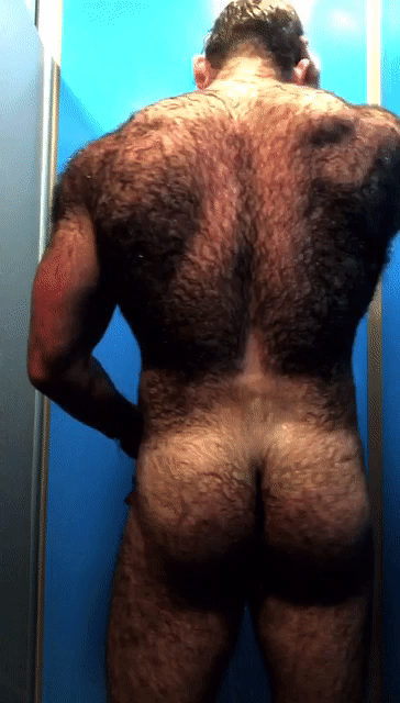 hairypervertion:  