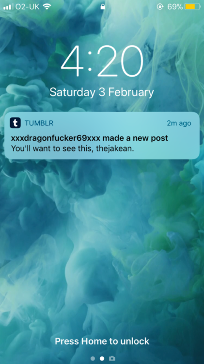 xxxdragonfucker69xxx:4:20, 69%, this url, the best screenshot i’ve ever takenthis is the face of god