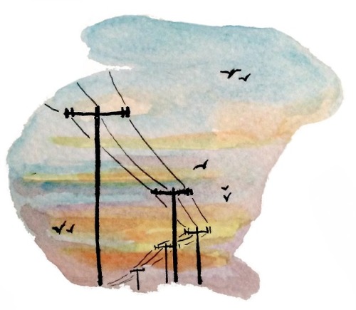 emma-draws:sky rabbits