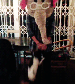 stylin-library:  Harry vs the dog + 