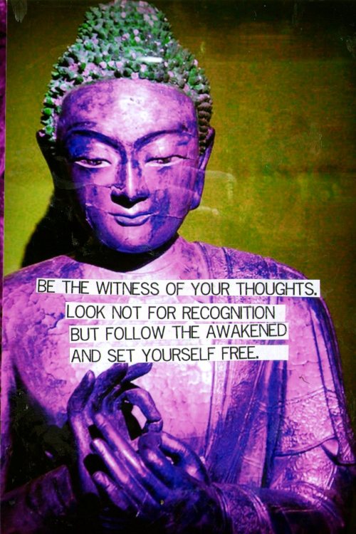 Purple Buddha project