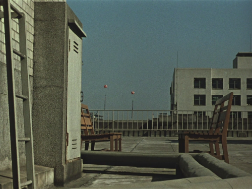 verachytilovas:LATE AUTUMN ‘秋日和, Akibiyori’ (1960) dir. Yasujirō Ozu