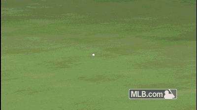 mlb:  Cannon.