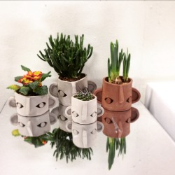 peonygent:made some lil plant pot head guys