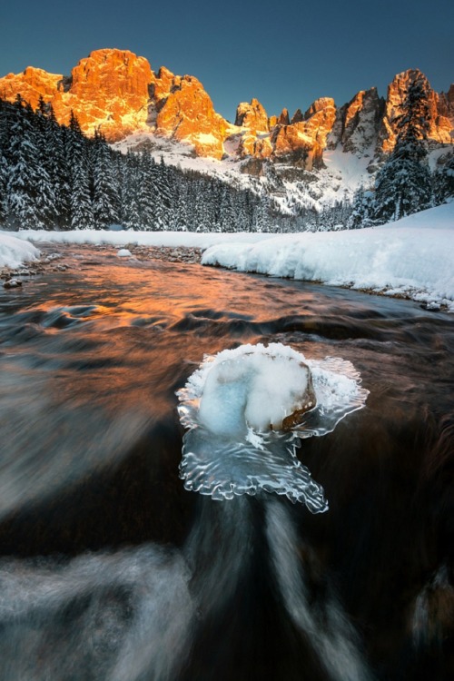 sublim-ature:  Val Venegia, ItalyMichele Rossetti 