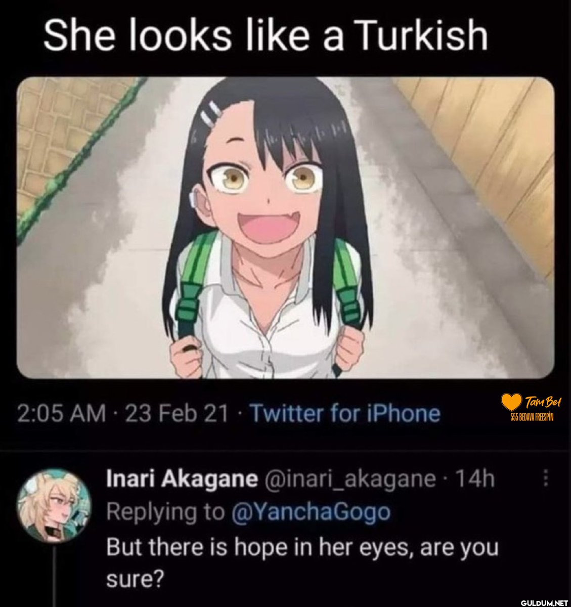 She looks like a Turkish...