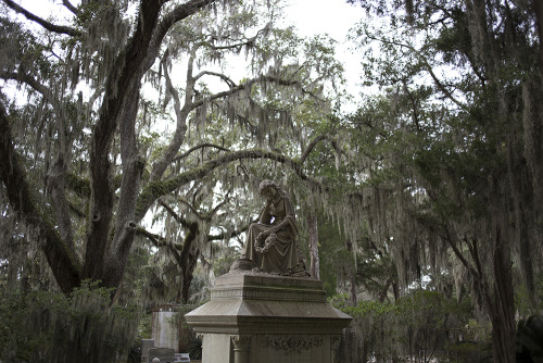 mariadanielaquiros:Bonaventure Cemetery - Savannah, Georgia.(Analog Photo Journal 2013).—