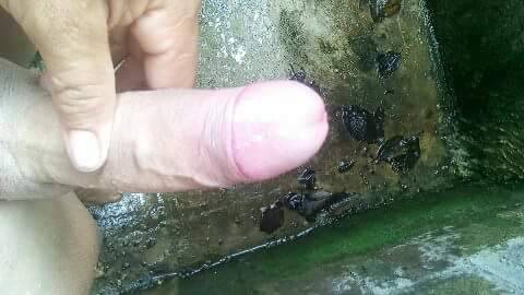 alfredoquiereleche:  Chacal de barrio