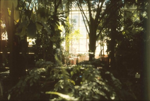 almostreading:Some film photos from my visit to the botanical gardens