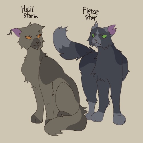 Started Working On My Warrior Cats Story. Here Are All The Important Characters That Have Speaking Roles!