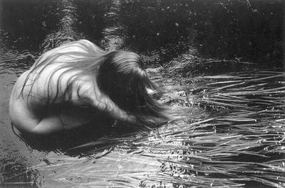 dukngal:  Rimantas Dichavičius, From the series “Blossoms Among Blossoms&quot;