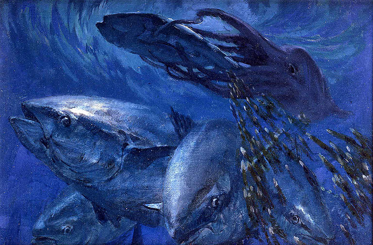 art-and-fury:  Lemon shark and ray - Two wahoo - Three sailfish and a ballyhoo -