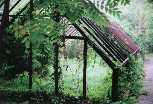 cityofscraps: Pic 35 by Nadine G on flickr.