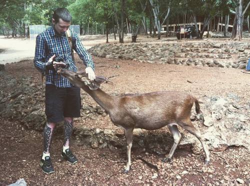 I’m feeding Bambi #typocaltourist #animallover #animal #kanchanaburi #tigertemple #deer #feedi
