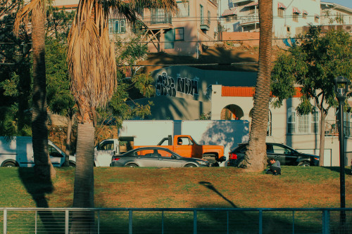 matthewgrantanson:Echo Park Lake, Los Angeles – January 30th, 2021Instagram: @matthewgrantanson