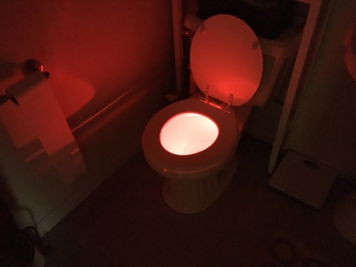 remnant-imaginations:My mom put a cute ill holiday light in the toilet without telling me so guess who thought they walked into hell at 5 am this morning