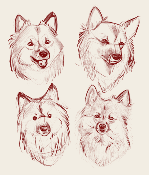 handbreadthdesigns: Some lil Nefja warm-up sketches. They were all done at different paces and I fin