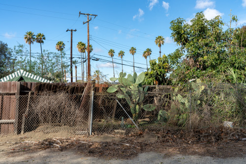 A yard facing Santiago Creek in Orange, California.