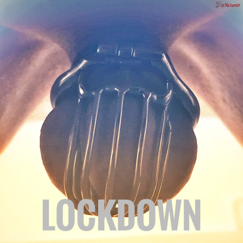 Lockdown - 6 weeks minimum
