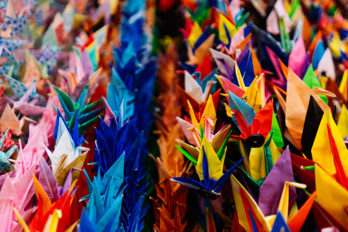 paper cranes at Fushimi Inari-Taishaby absolutminimum