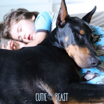 the-goddamazon:  nelliwolfram:  Cutie and the Beast The last one is my favorite &lt;3 