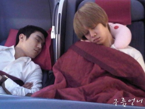 [SJ Magazine - Week 43] Sleeping Super Junior / Super Junior endormis