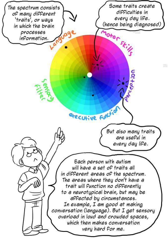 fumbledeegrumble:  ithelpstodream:Source: Comic Redesigns the Autism Spectrum to
