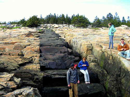 IntrusiveThis frame was photographed by a student at Otago University on a trip to Maine’s Acadia Na