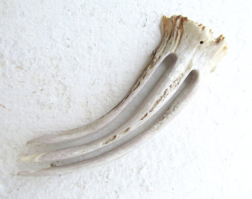 Antler Hair Pin by JCMcCairn I&rsquo;d like to believe this is what the queen really stabbed her