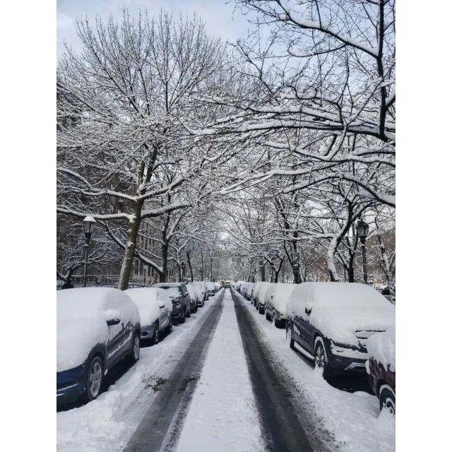 Eastern Parkway, Brooklyn. #winter #snow #weather #photography #nofilter #nofilterneeded #brooklyn #newyork #nyc  (at Brooklyn, New York) https://www.instagram.com/p/CdjmwNIvNpf/?igshid=NGJjMDIxMWI= #winter#snow#weather#photography#nofilter#nofilterneeded#brooklyn#newyork#nyc