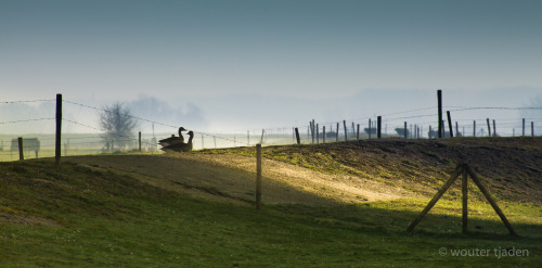 This morning in Echteld, Netherlands 6th march 2014 Canon 5DMK2 - Tokina ATX 400 5.6 