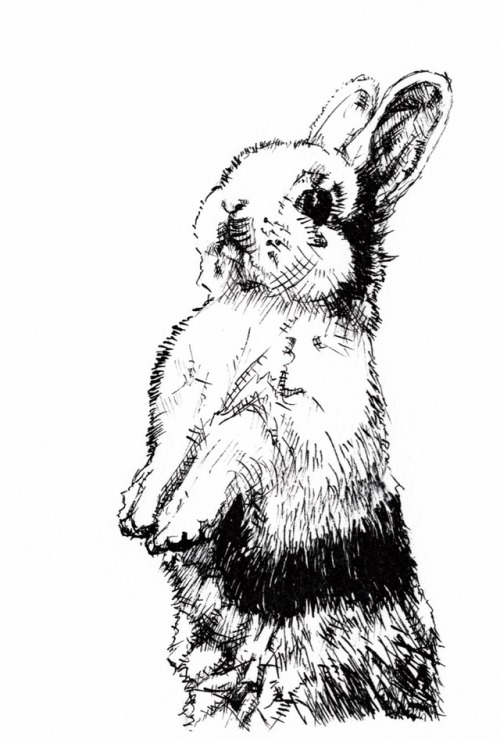 Rabbit gist / ink,drawing size / A6 watercolor paper