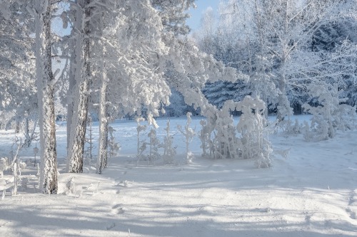 Porn Pics expressions-of-nature:  Walk in the Winter