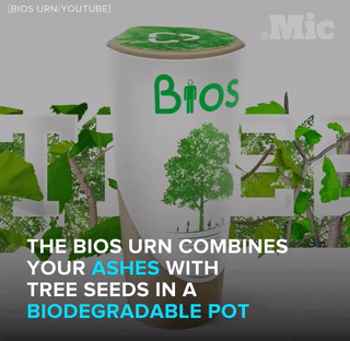 the-future-now:  The BIOS urn isn’t the only green death option. Follow @the-future-now 