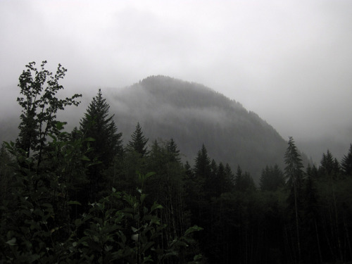 Marmot Mountain by Walter Moar on Flickr.