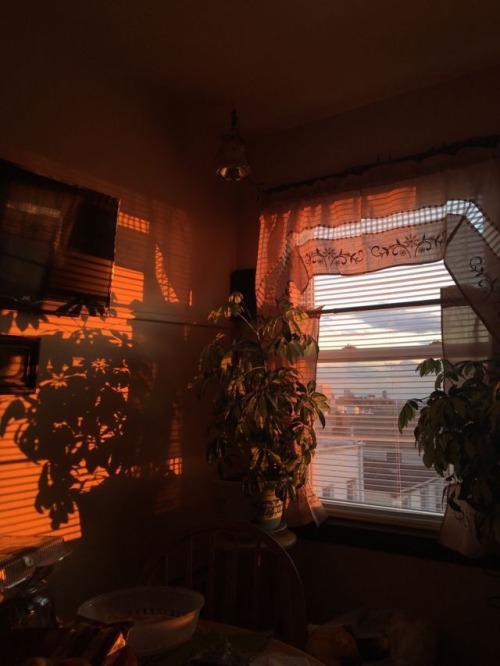 oldfarmhouse:GoodMorning Welcome MondayPhotoCredit:pin.it/tiQGW8wSource: @oldfarmhouse