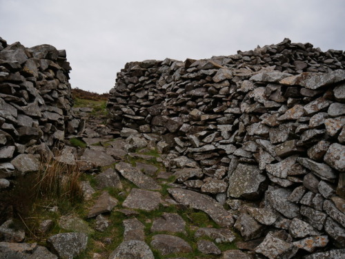 Tre’r Ceiri Iron Age Hill fort, Llyn Peninsula, North Wales, 29.4.17. This has to be one of th