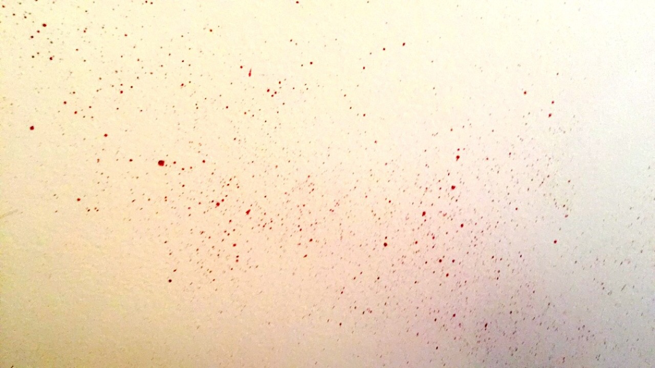braidsandbruisedknees:Soooooo @pleasurabledistractions repainted my room for me with
